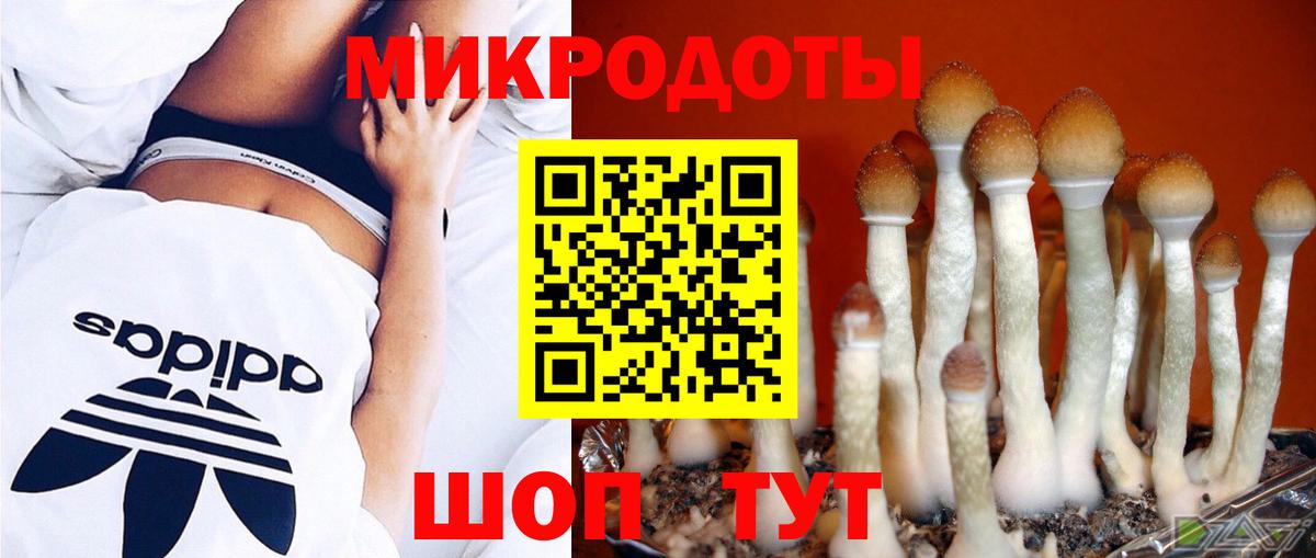 Галлюциногенные грибы Magic Shrooms Среднеуральск